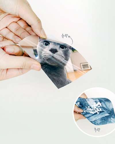 Magnetic Matte Photo Paper Pita Aemon