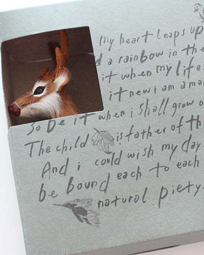 Deer