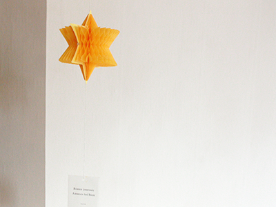 O-CHECK Honeycomb Mobile Card_STAR Star