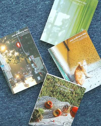 O-Check Ordinary Monthly Perpetual Diary