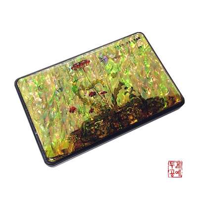 Korean External Hard Drive 500GB [Grass and Insects Painting]