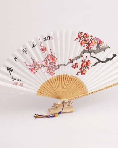 Black Bamboo Hand-Painted Folding Fan with Plum Blossoms