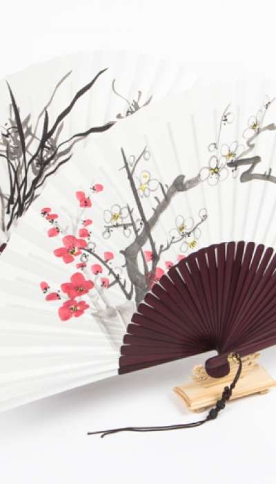 Gapung Black Bamboo Fan
