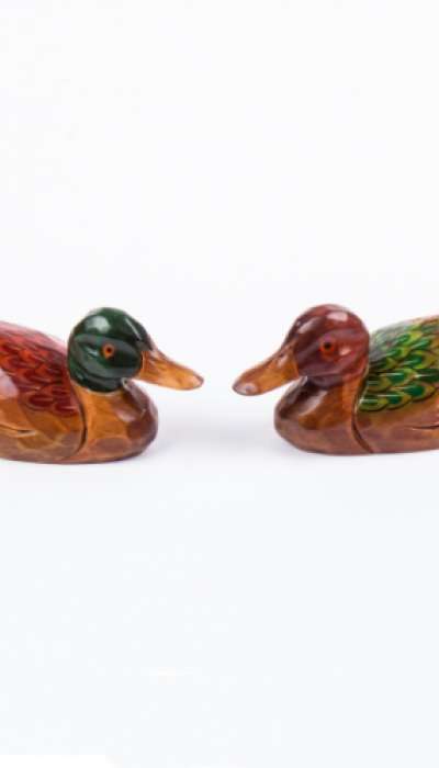Mandarin Duck Set Small